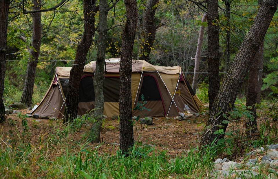 camping, tent, autumn
