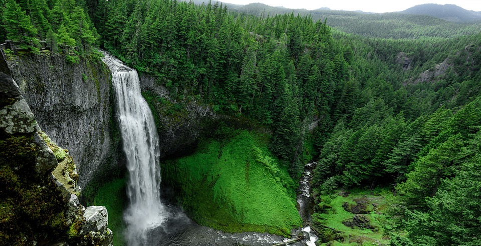 waterfalls, green, grass