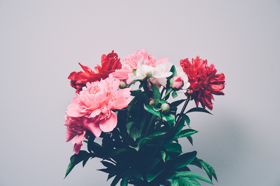 bouquet, flowers, red