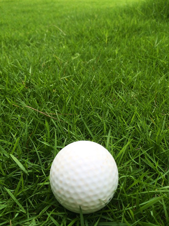 golf, grass, garden