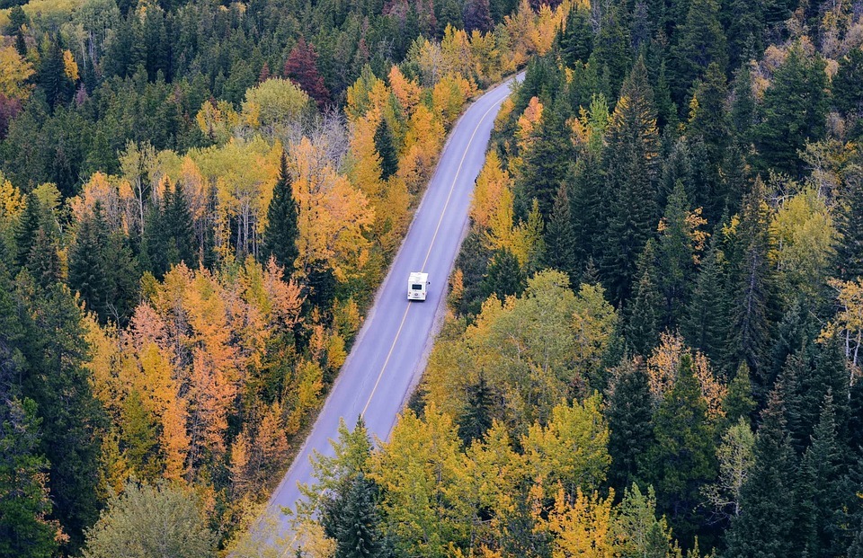 aerial view, roadway, fall landscape