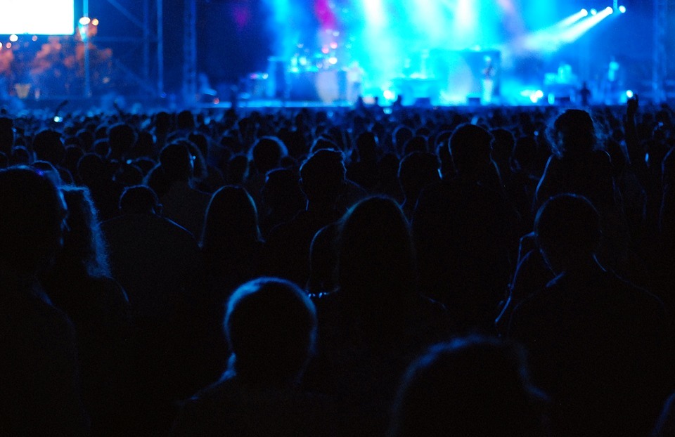 audience, concert, crowd