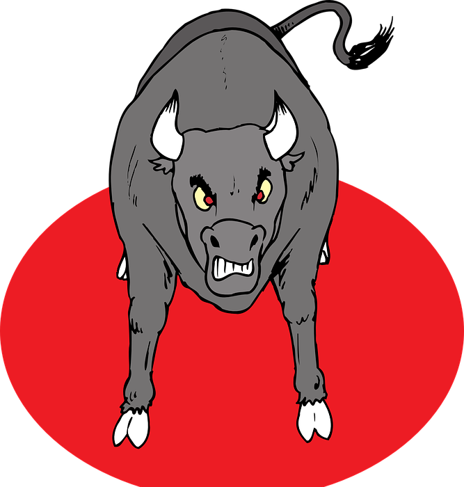 angry, bull, horns