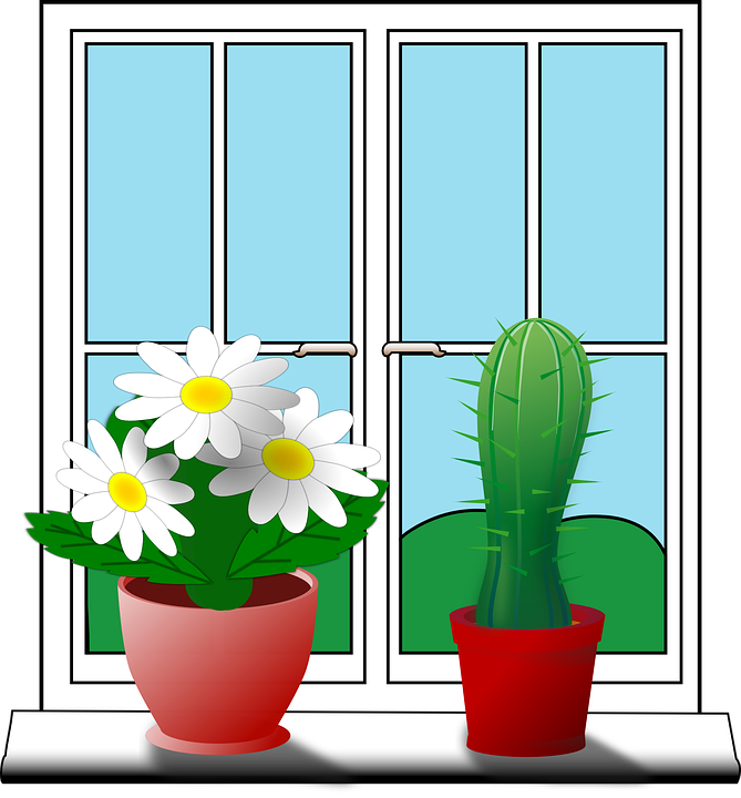 Windowsill Cactus Flower Stock Images Page Everypixel