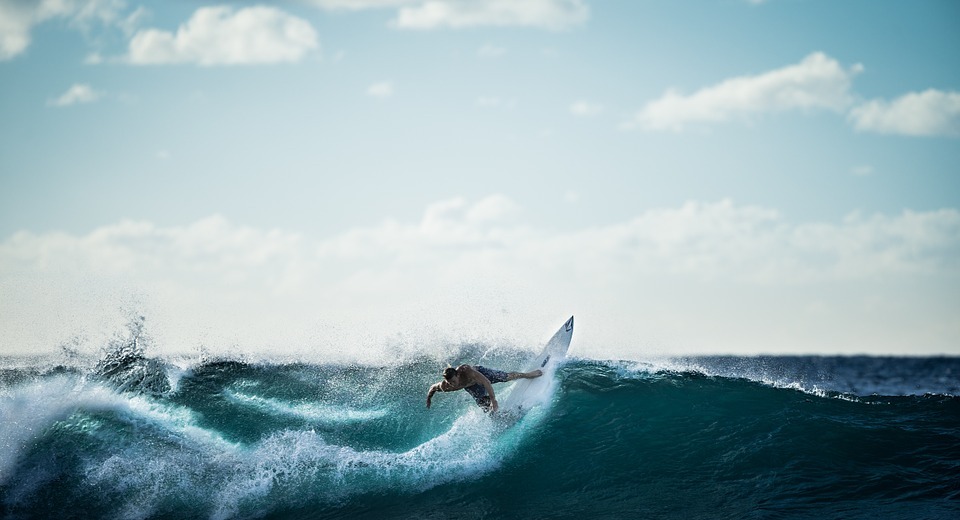 surfing, surfer, wave