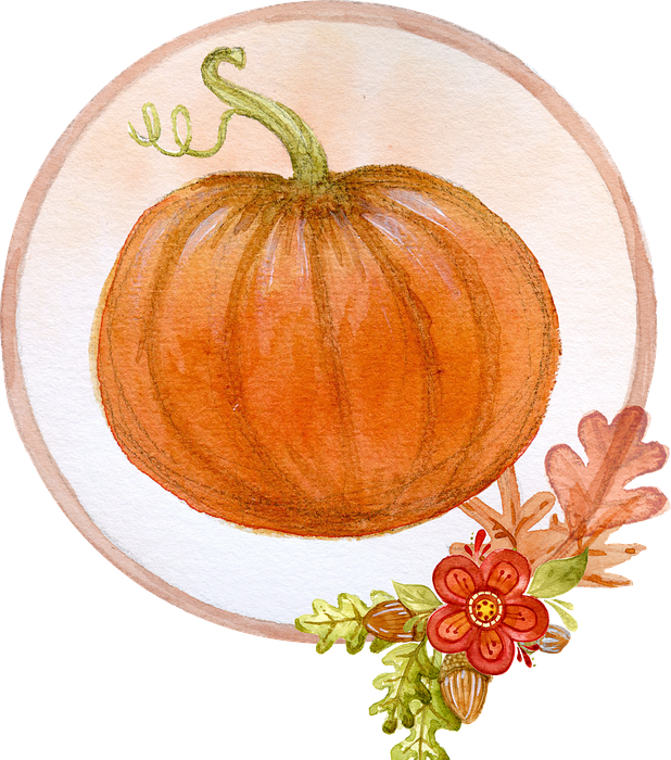 pumpkin, decoration, thanksgiving