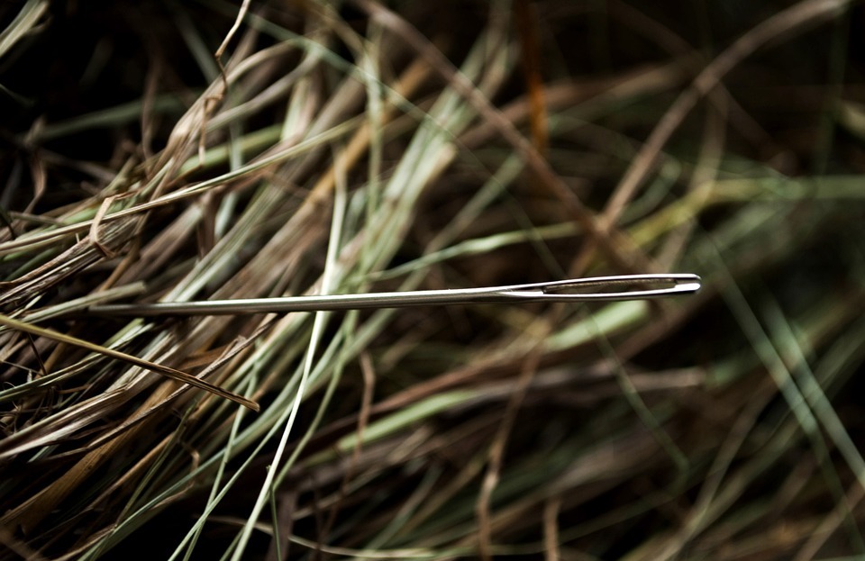 needle, hay, a needle in a haystack