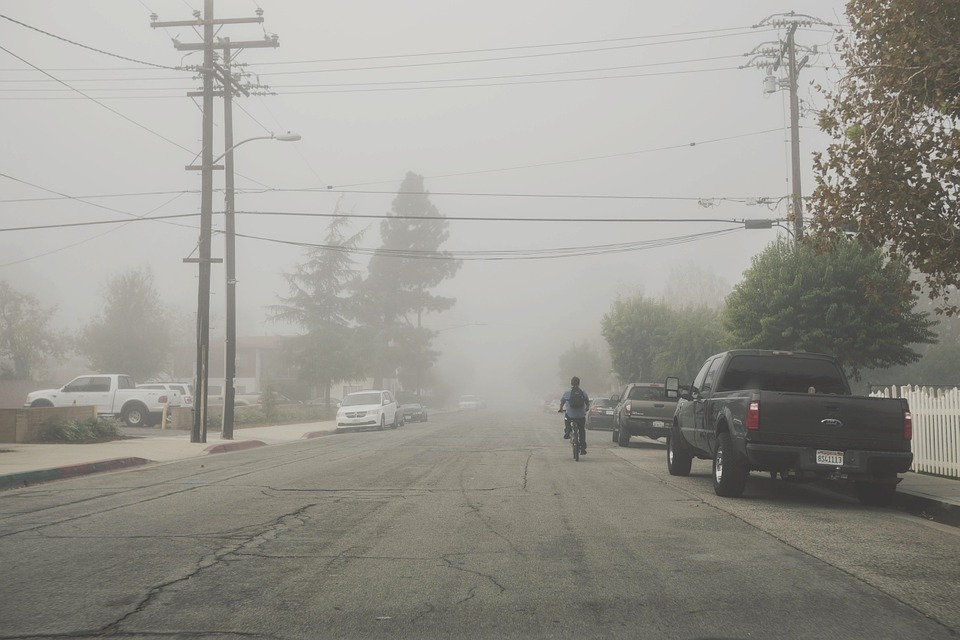 street, pavement, fog