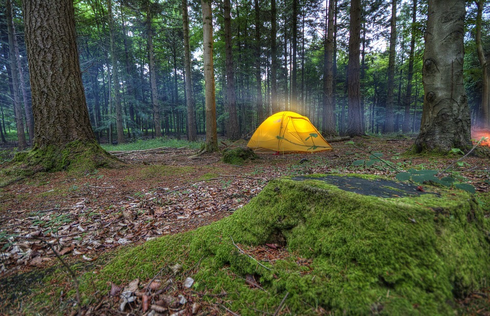 camping, tent, wilderness