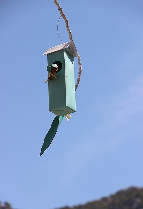 bird feeder, nesting box, nesting place