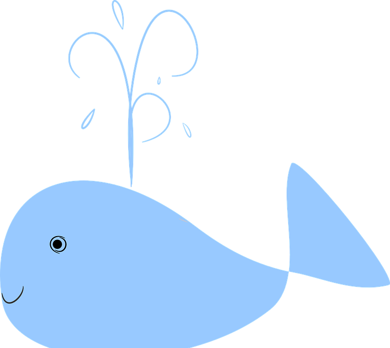 whale, blue, water fountain