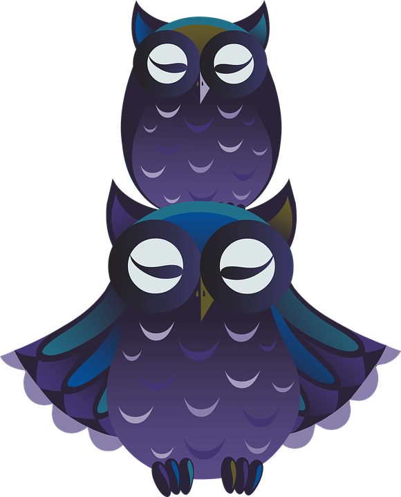 owls, birds, blue