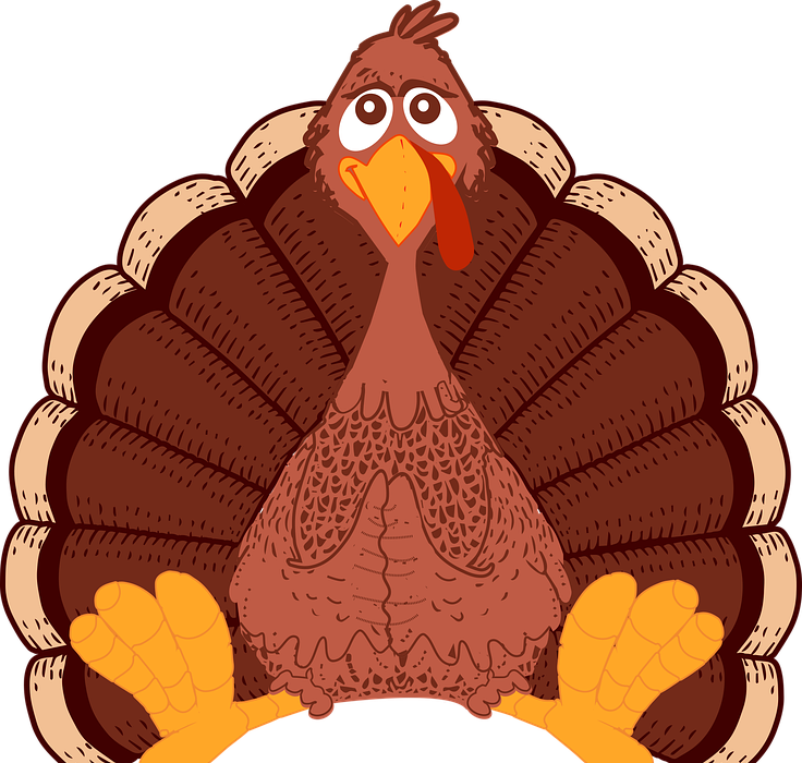 thanksgiving, turkey, cartoon turkey