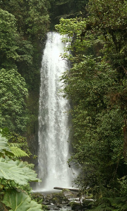 waterfall, tropical, jungle