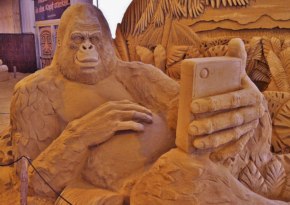 sand sculpture, monkey selfi, gorilla
