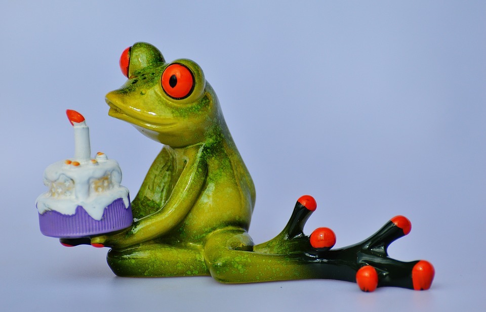 happy birthday, birthday, frog