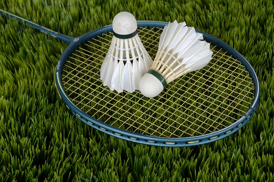 badminton, shuttle, sport Stock Image -