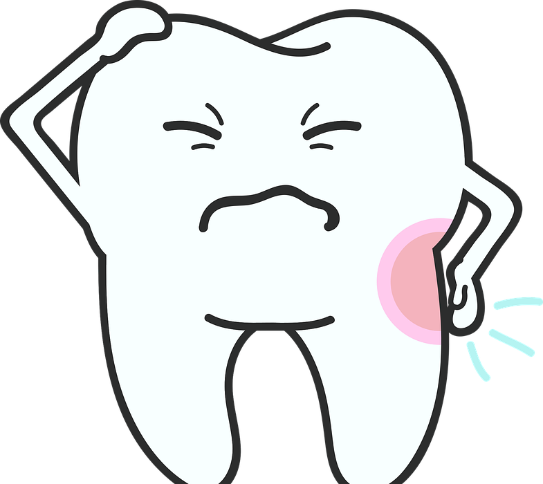 tooth, dentist, odontology