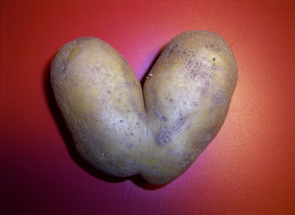 potato, shape, weird