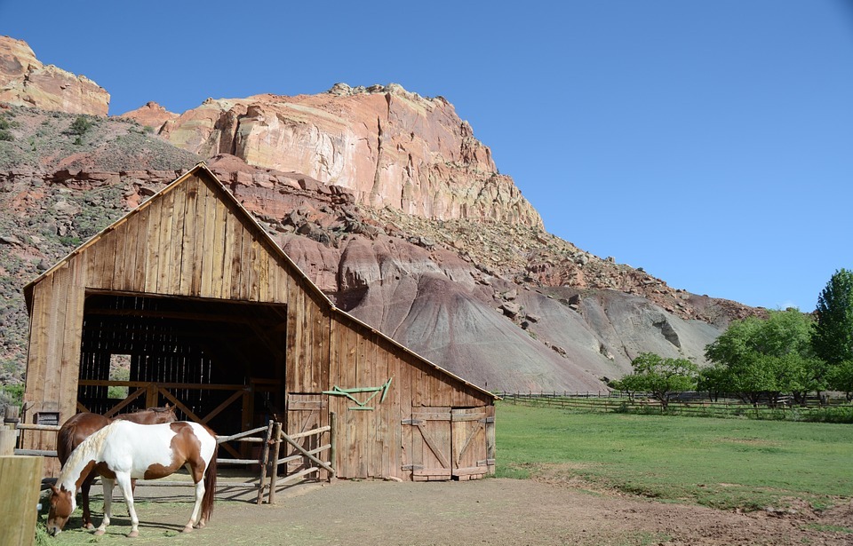 horse, barn, capitol reef national park
