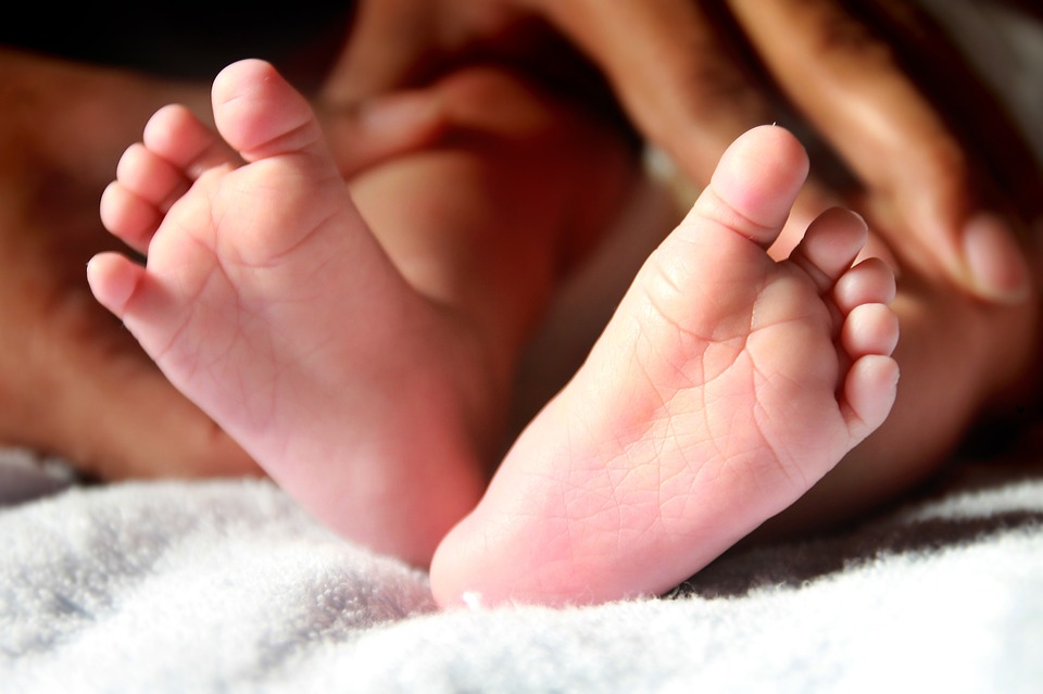 baby feet, newborn, leg