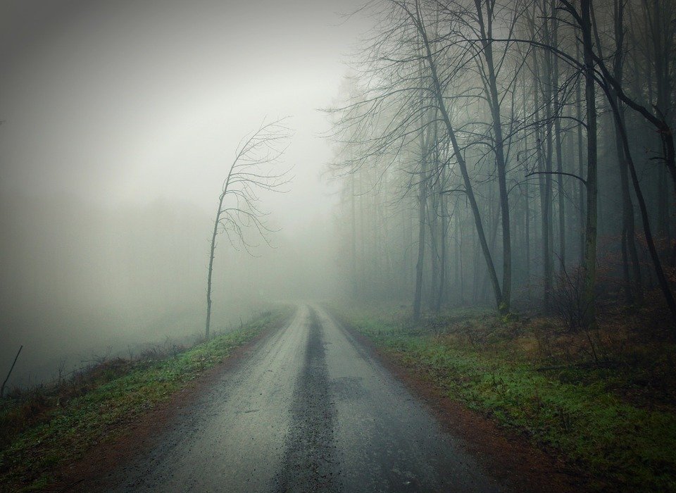 dirt, road, fog