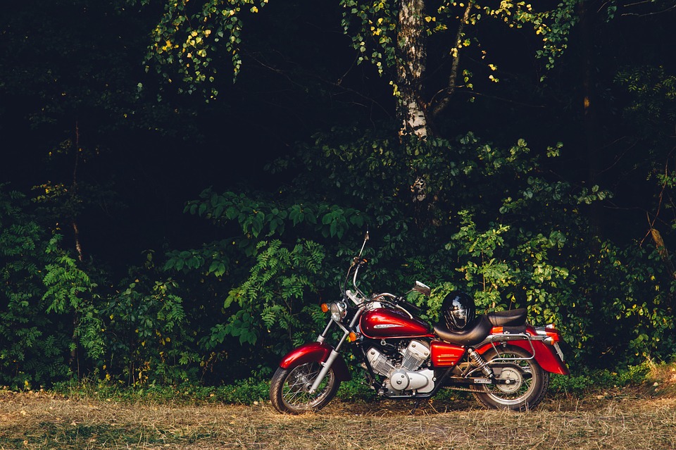 motorcycle, motorbike, grass