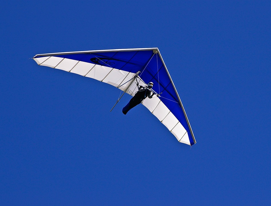 glider, hang-glider, pilot