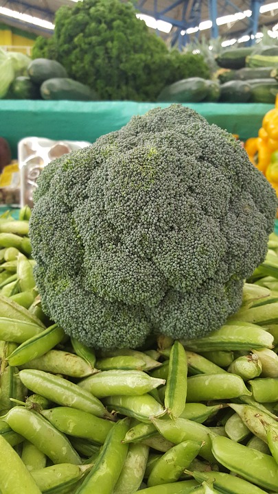 broccoli, green, vegetables