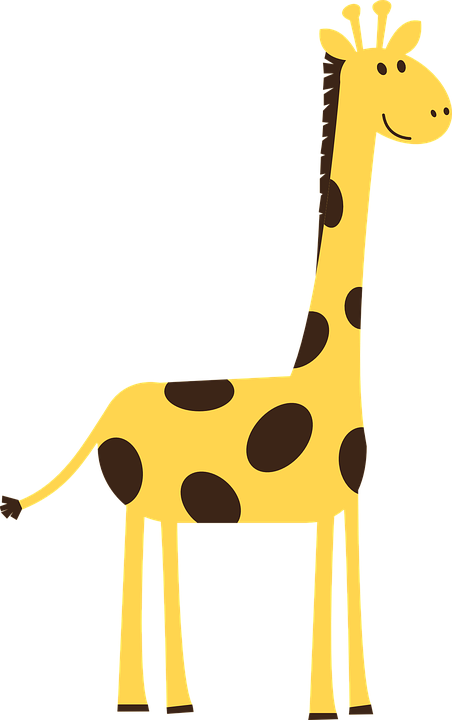 giraffe, animal, wild