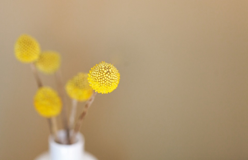 flowers, yellow, vase