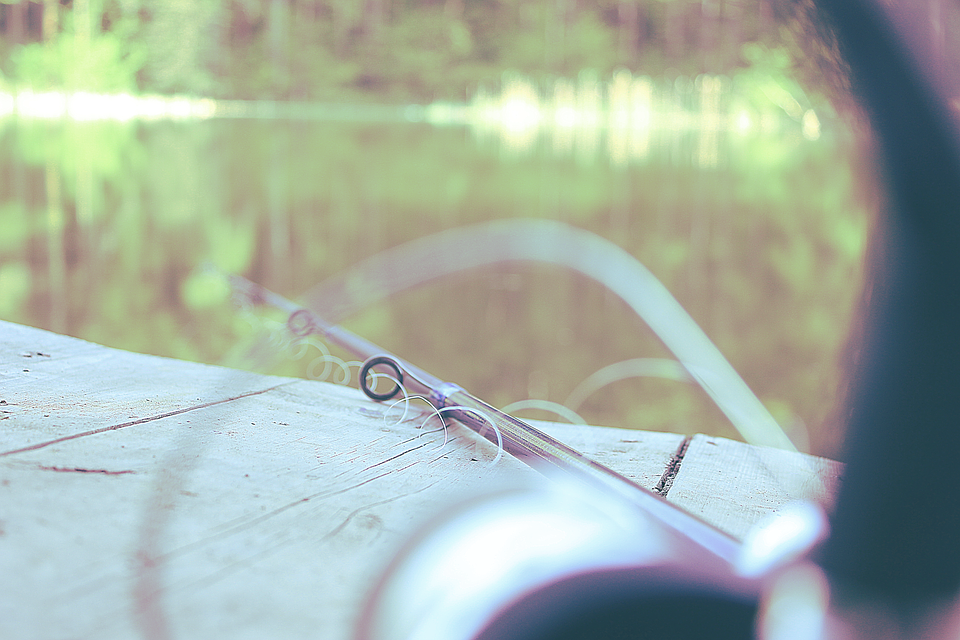 fishing, rod, lake