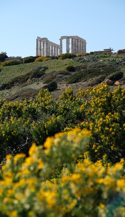 temple of poseidon, greek, flowers
