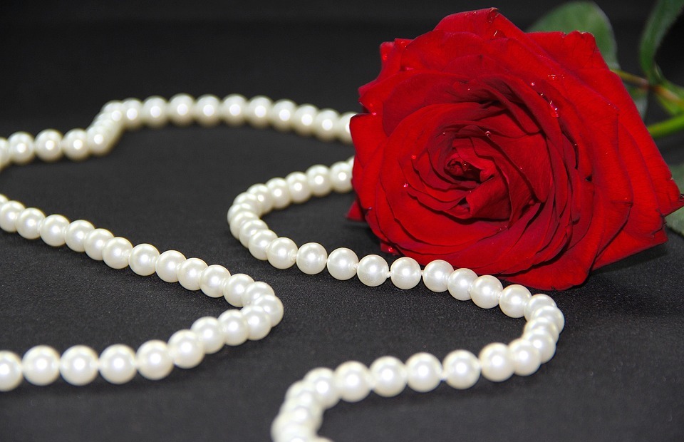 rose, flower, pearl