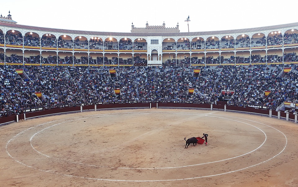 bullfight, torero, corrida