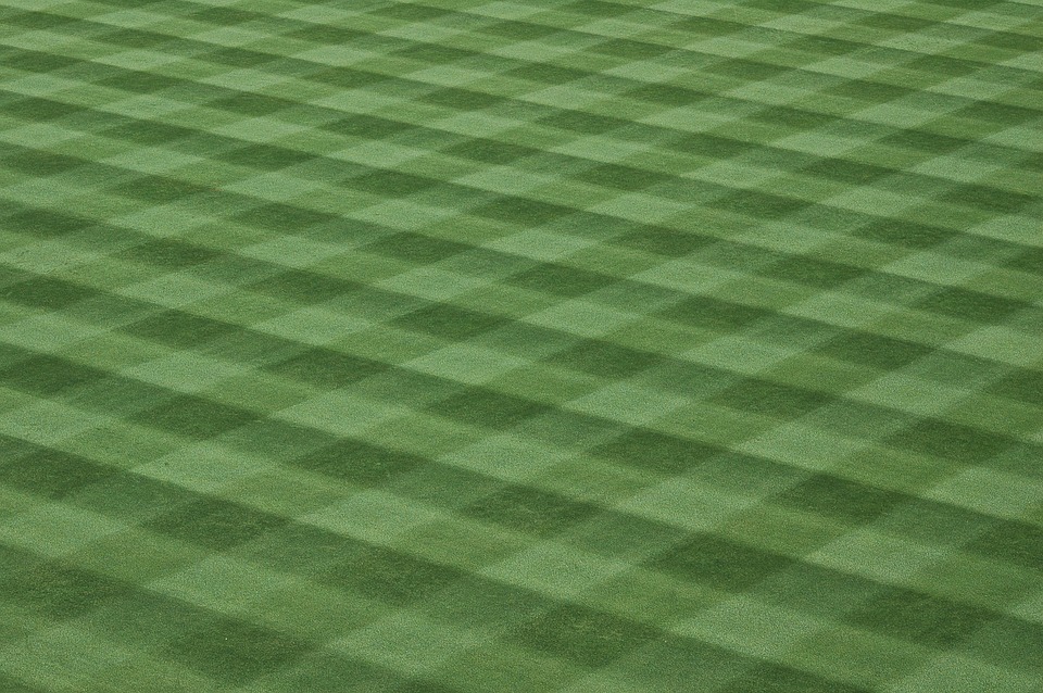 baseball field, landscape, lawn
