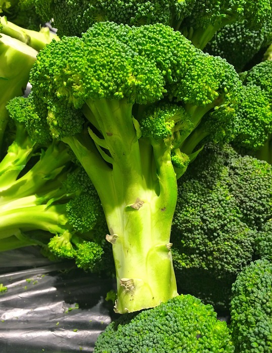 broccoli, green, seiyu ltd