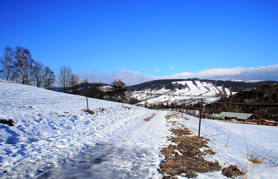 path, winter, snowy path
