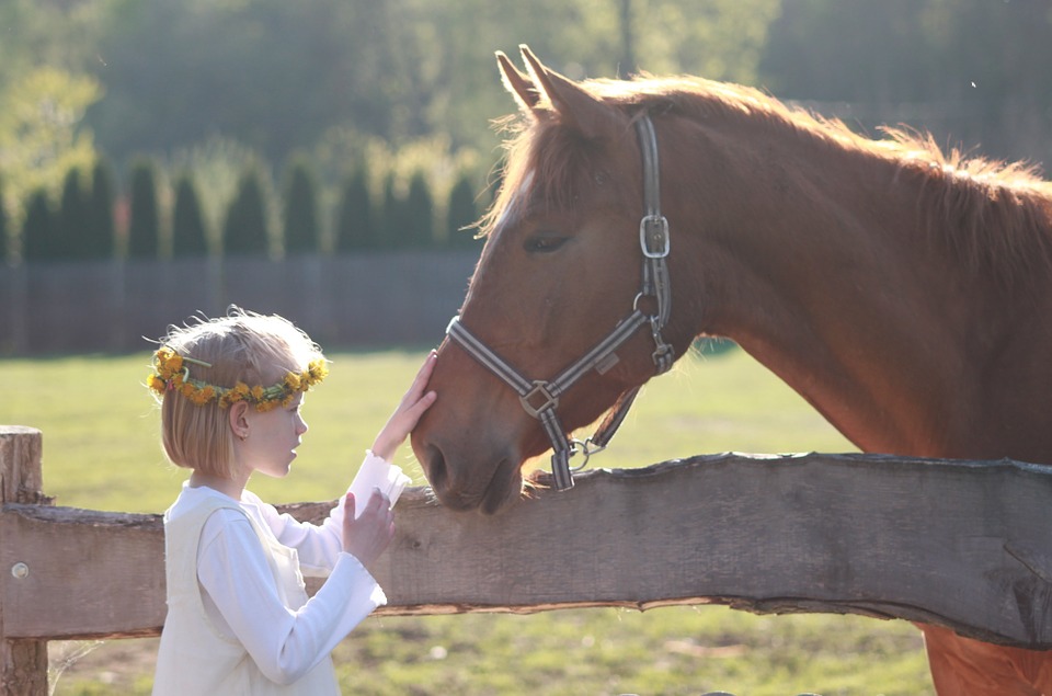 little girl, horse, riding school