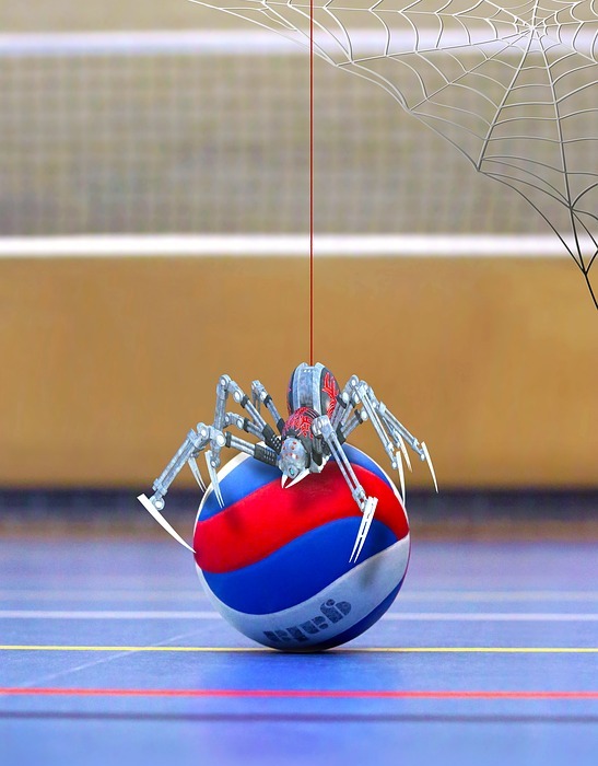 spider, volleyball, web