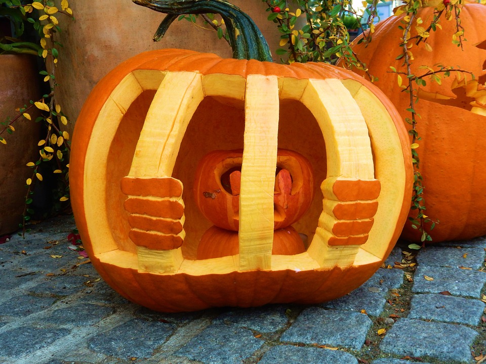 pumpkin, halloween, autumn