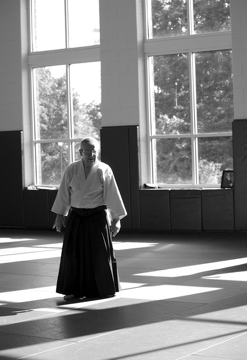 aikido, martial arts, self-defense
