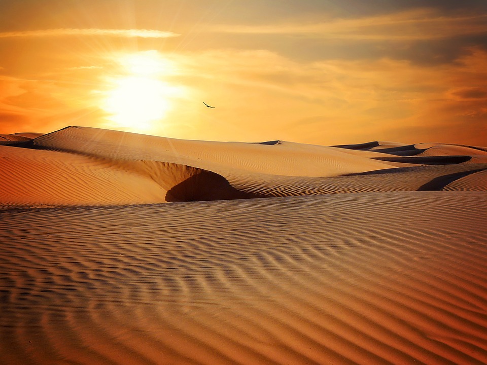 desert, sand, landscape