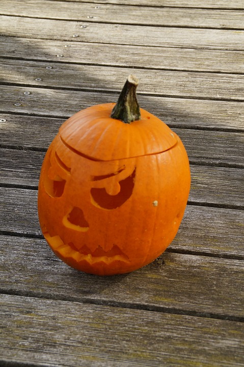 pumpkin, halloween, autumn