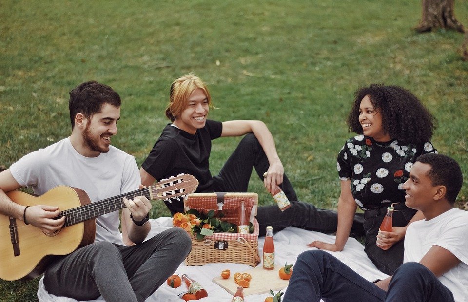 picnic, friends, guitar