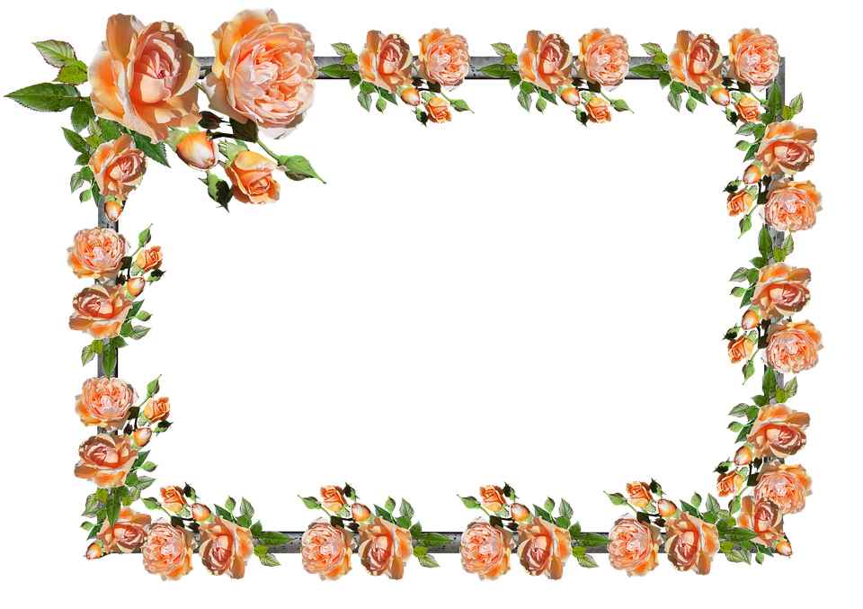 frame, border, rose