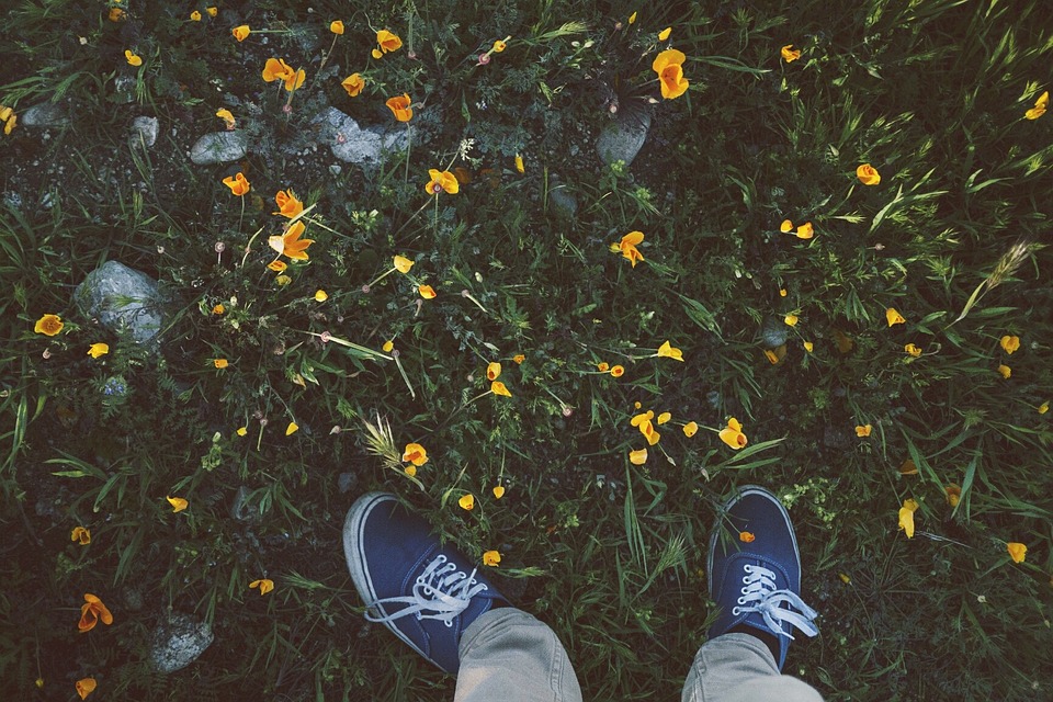 shoes, sneakers, grass