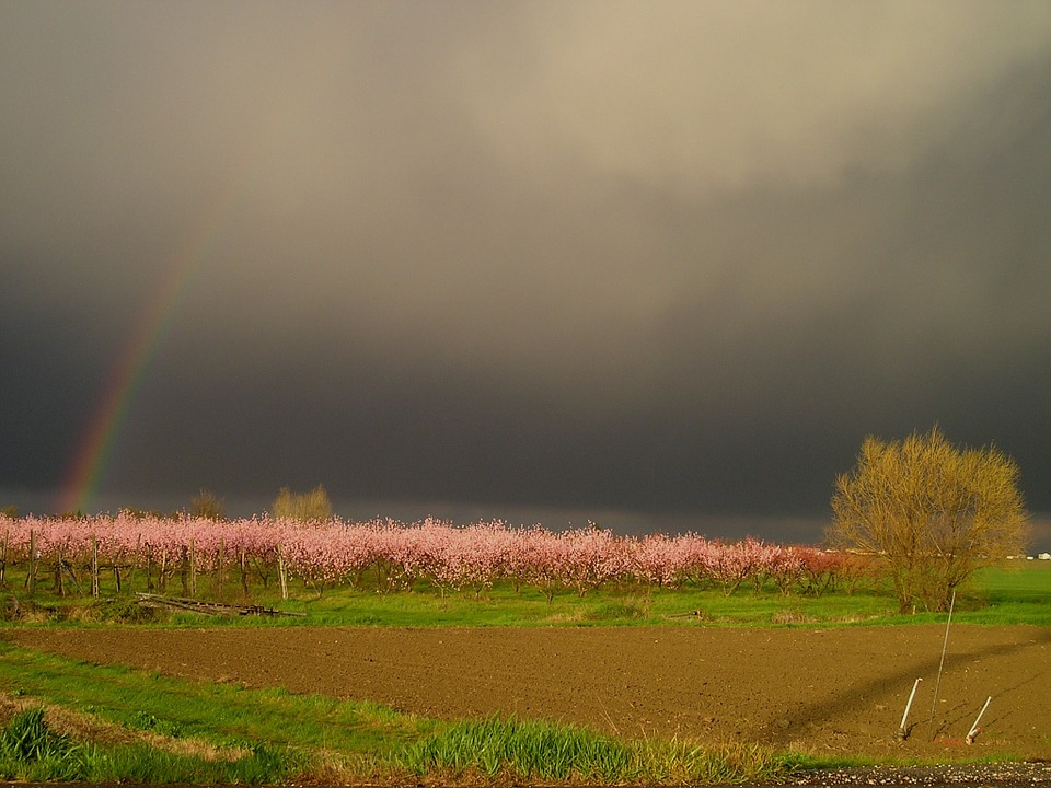 thunderstorm, rainbow, spring