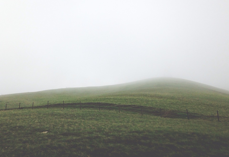 meadow, hillside, hill