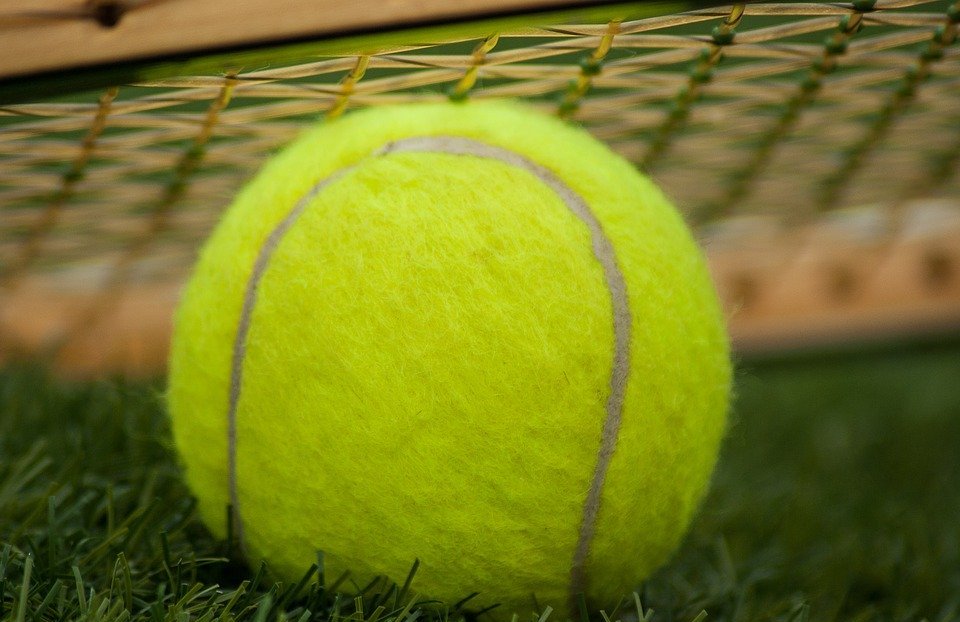 tennis ball, racket, tennis